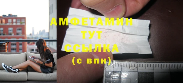 шишки Карпинск
