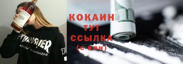 шишки Карпинск