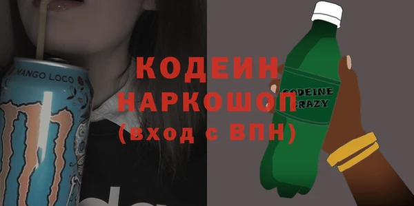 шишки Карпинск