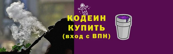 шишки Карпинск