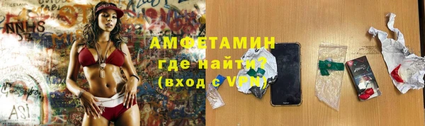 шишки Карпинск