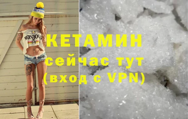 шишки Карпинск