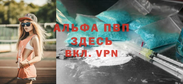 шишки Карпинск